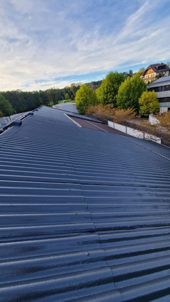 Welleneternitdach – BVH Standfest im Bad